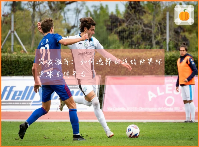 实战推荐：如何选择合适的世界杯买球竞猜平台