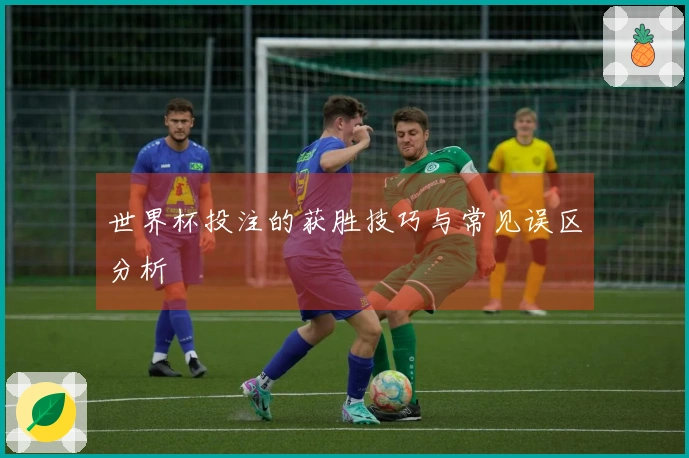 世界杯投注的获胜技巧与常见误区分析