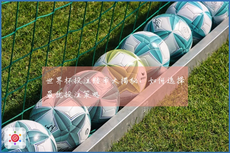 世界杯投注赔率大揭秘，如何选择最优投注策略