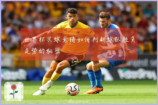 世界杯买球竞猜如何判断球队胜负走势的秘密