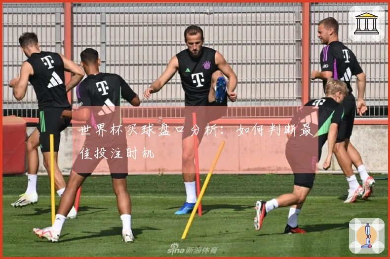 世界杯买球盘口分析：如何判断最佳投注时机