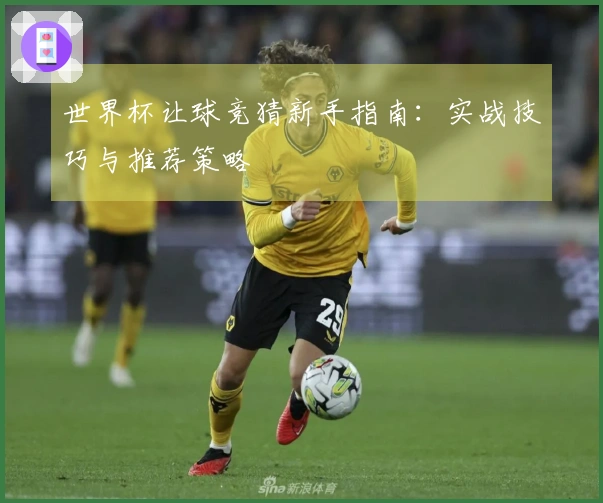 世界杯让球竞猜新手指南：实战技巧与推荐策略