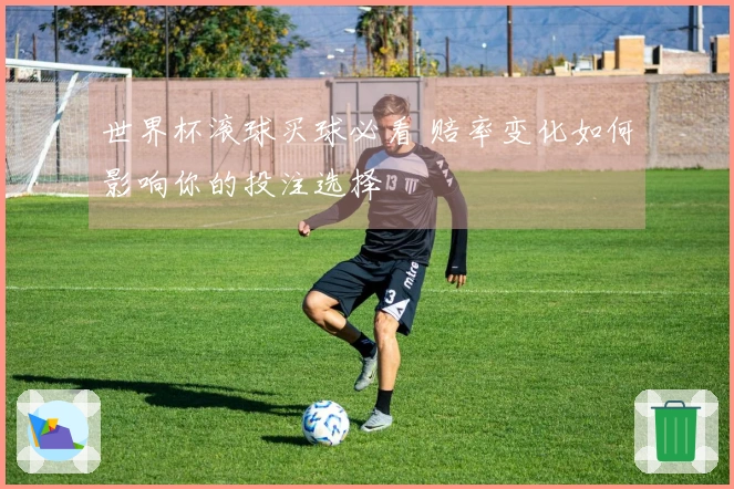 世界杯滚球买球必看 赔率变化如何影响你的投注选择