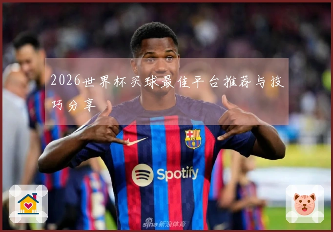 2026世界杯买球最佳平台推荐与技巧分享