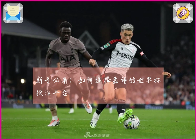 新手必看：如何选择靠谱的世界杯投注平台