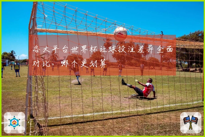 各大平台世界杯让球投注差异全面对比，哪个更划算