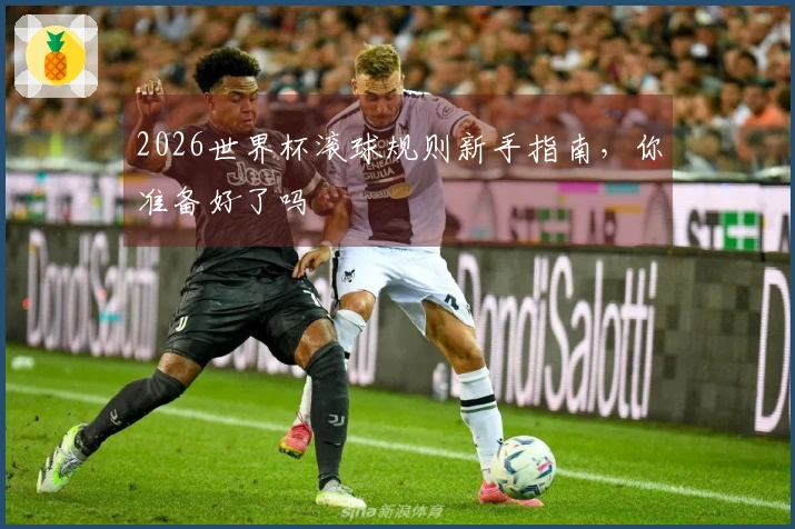 2026世界杯滚球规则新手指南，你准备好了吗
