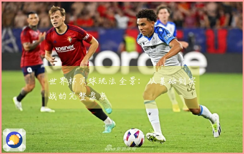 世界杯买球玩法全景：从基础到实战的完整盘点