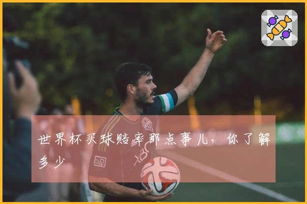 世界杯买球赔率那点事儿，你了解多少
