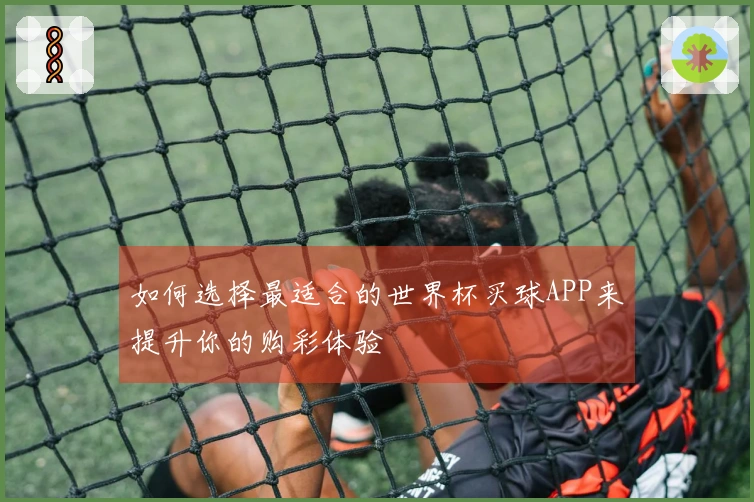 如何选择最适合的世界杯买球APP来提升你的购彩体验
