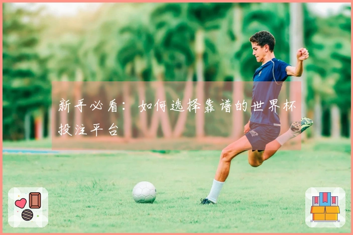 新手必看：如何选择靠谱的世界杯投注平台