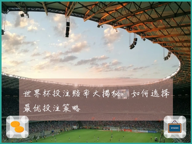 世界杯投注赔率大揭秘，如何选择最优投注策略