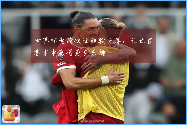 世界杯竞猜投注经验分享，让你在赛季中赢得更多乐趣