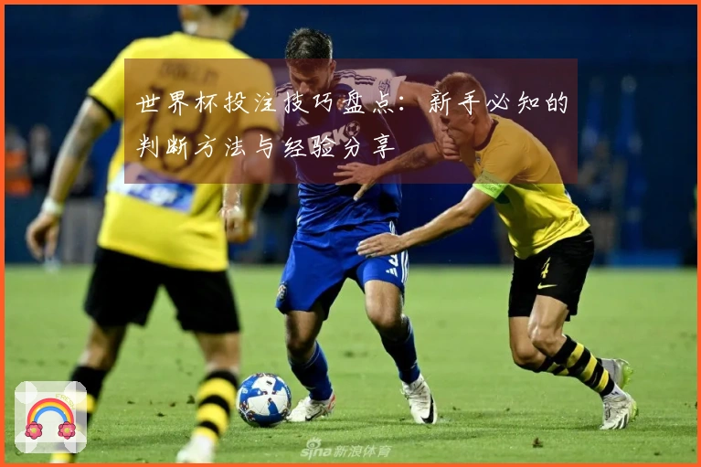 世界杯投注技巧盘点：新手必知的判断方法与经验分享